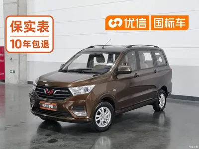 2021 Wuling Motors Wuling Hongguang 1.5L Facelift S Comfort Hydraulic Power Steering LAR, фото 1, лот 10367177