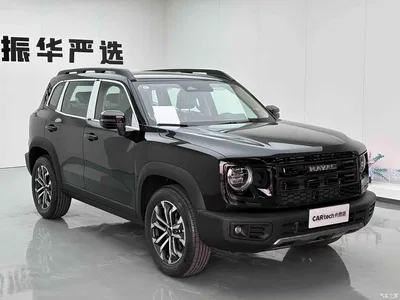 2024 Haval Big Dog 1.5T DCT Border Collie Edition, фото 3, лот 11538518