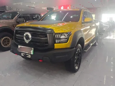 2025 Great Wall Shanhaipao Hi4-T Hi4-T Performance Edition, фото 2, лот 11201899