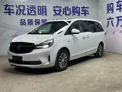 2020 Buick GL8, фото 1, лот 10243113