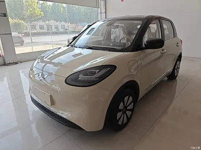 2025 Wuling Motors Wuling Bingo Model 333km Joy Edition, фото 2, лот 10620643