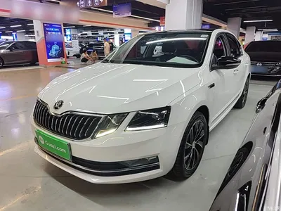 2019 Škoda Octavia TSI280 DSG Smart Luxury Edition China V, фото 2, лот 10769396