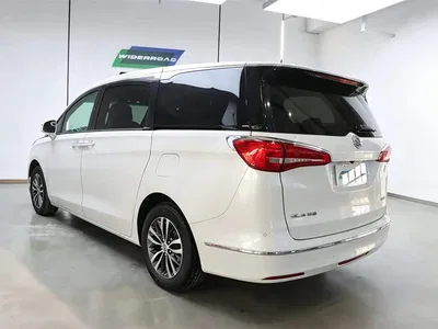 2018 Buick GL8, фото 3, лот 10243447
