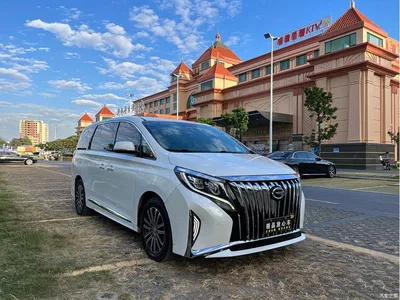 2021 GAC Trumpchi Trumpchi M8 Leading Show Series 390T Prestige Edition, фото 1, лот 10417921