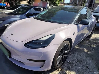 2021 Tesla Model 3 Standard Range Rear-Wheel Drive Upgrade 3D6, фото 1, лот 11565435