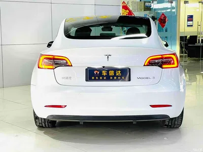 2022 Tesla Model 3 Model Rear-Wheel Drive Version, фото 3, лот 10352475