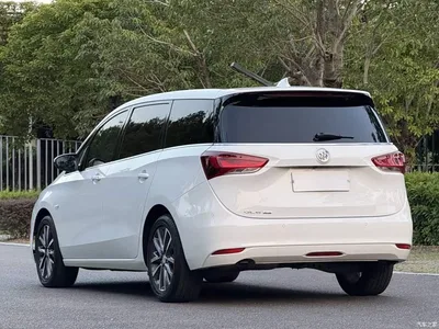 2019 Buick GL6 Model 18T 6-Seater Connected Premium Version China V, фото 4, лот 11569525