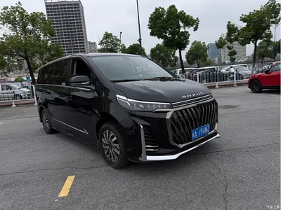 2023 SAIC Maxus Maxus G20 PLUS 2.0T Diesel Automatic Luxury Edition, фото 3, лот 11160755
