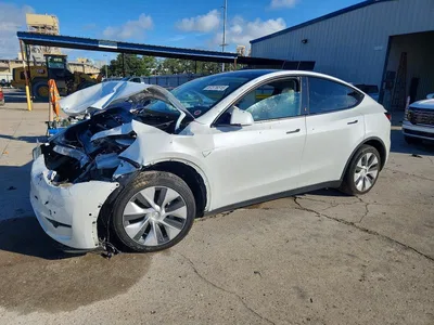 2020 TESLA MODEL Y, фото 1, лот 10856026