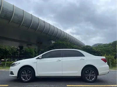 2019 Byd Qin, фото 4, лот 10243901