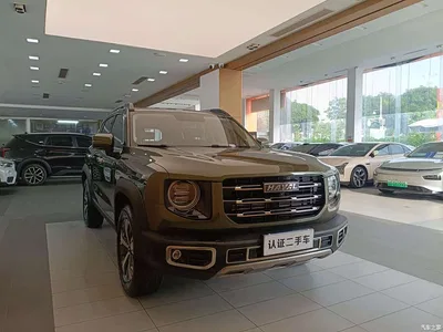 2021 Haval Big Dog 1.5T DCT 2WD Labrador Edition, фото 4, лот 10699396