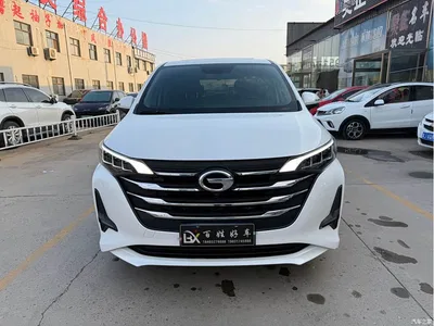 2019 GAC Trumpchi Trumpchi M6 270T DCT Prestige Edition (7-seater) (China VI), фото 1, лот 10808374