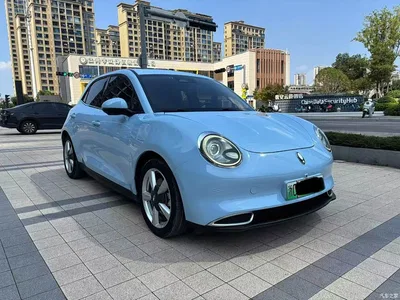 2021 Ora Good Cat 400km Standard Range Venus Edition (LFP), фото 1, лот 11180397