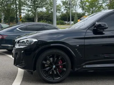 2025 BMW X4 xDrive20i M Sports Pro, фото 2, лот 10223074