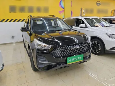 2019 Haval M6 1.5T DCT 2WD Value Edition (China VI), фото 4, лот 11088989
