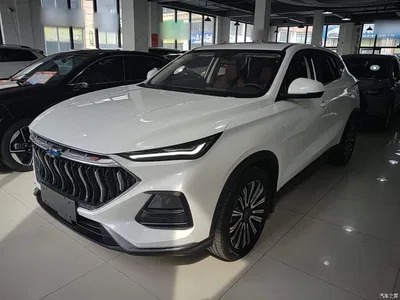 2021 Changan Oshan Changan Oushang X5 1.5T DCT Premium, фото 1, лот 11144447