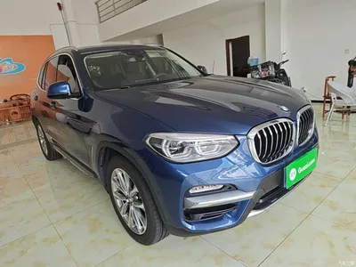 2018 BMW X3 xDrive25i Luxury Package China V, фото 4, лот 10461823