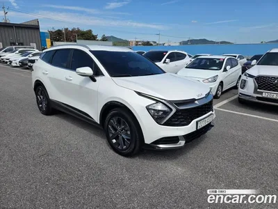 2023 Kia Sportage Diesel 2.0 2WD, фото 3, лот 10384470
