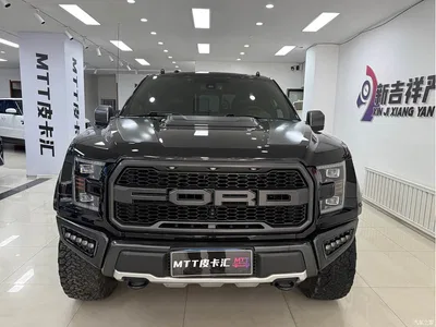 2017 Ford F-150 Raptor 3.5T Raptor Performance Edition, фото 2, лот 10890083