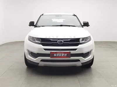 2015 Landwind X7 2.0T Panorama Premium, фото 3, лот 10445967