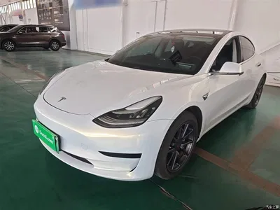 2019 Tesla Model 3 Standard Range Rear-Wheel Drive Upgrade, фото 1, лот 10375314