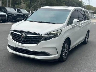 2020 Buick GL8 Model ES Landglory 653T Comfort, фото 3, лот 10256409