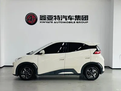2023 BYD Seagull Freedom Edition, фото 4, лот 11222436