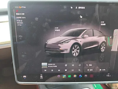 2022 Tesla Model Y Facelift Rear-Wheel Drive Version, фото 4, лот 10370721