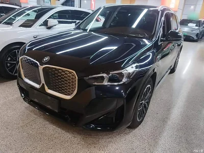 2025 BMW iX1 eDrive25L M Sport Package, фото 1, лот 11412194