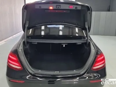 2019 Mercedes-Benz E-Class E300 4MATIC Exclusive, фото 4, лот 10077575