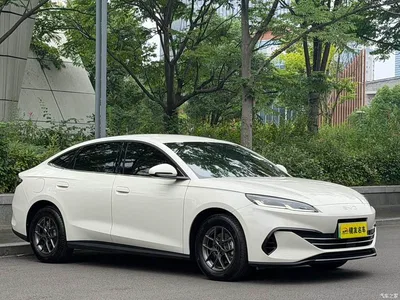 2024 BYD Seal 06 New Energy DM-i 80KM Prestige, фото 3, лот 10274325