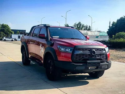 2020 Great Wall Pao 2.0T Off-road Automatic Diesel 4WD Premium Edition GW4D20M, фото 3, лот 10246302