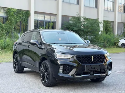 2017 WEY VV5 2.0T Flagship Model, фото 3, лот 10451335