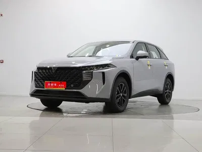 2026 Venucia Big V 260T Rising Star Edition Pro, фото 1, лот 11153908