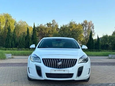 2014 Buick Regal GS 2.0T Heroic Sport Edition, фото 2, лот 10400438