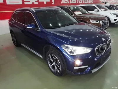 2019 BMW X1 xDrive20Li Luxury Model, фото 4, лот 10471214