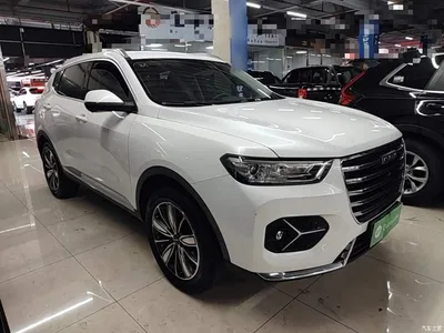 2021 Haval H6 1.5GDIT Automatic Champion Edition, фото 4, лот 11227315