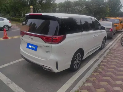 2020 GAC Trumpchi Trumpchi M8 Pilot 390T Prestige Edition, фото 3, лот 10767697