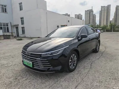 2024 BYD Destroyer 05 Glory Edition DM-i 55KM Luxury, фото 2, лот 10902723