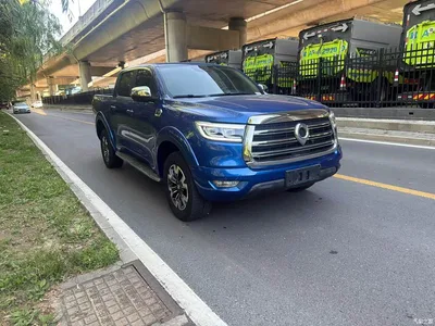 2019 Great Wall Pao 2.0T Automatic Gasoline 4WD Sport GW4C20B, фото 2, лот 10246109