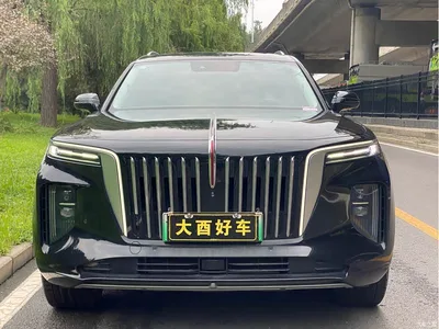 2021 Hongqi E-HS9 460km Flagship Comfort 6-seater, фото 2, лот 11565831