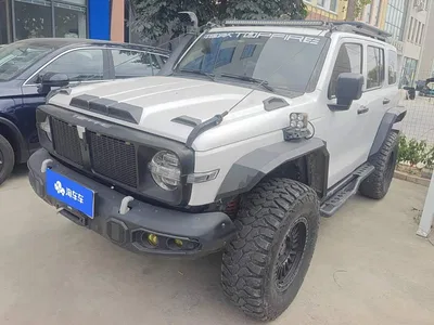 2021 Tank 300 Off-road Version 2.0T Conqueror, фото 1, лот 10344682