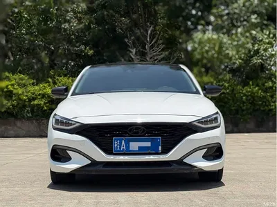 2021 Hyundai Fista 280TGDi Luxury Sport Dynamic Edition, фото 2, лот 10835877