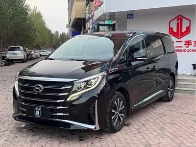 2021 GAC Trumpchi Trumpchi M8 Leading Show Series 390T Prestige Edition, фото 1, лот 10405579