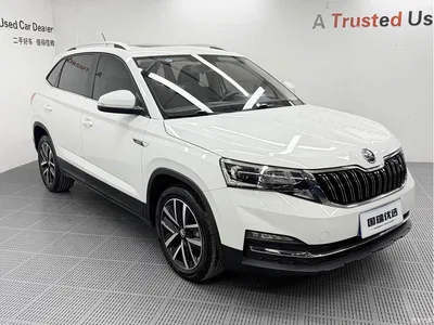 2023 Škoda Kamiq Facelift 1.5L Auto Comfort Edition, фото 3, лот 10349307