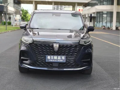 2021 Roewe iMAX8 400TGI Supreme Series Honor, фото 2, лот 10340090