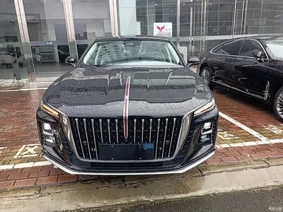 2025 Hongqi H5 2.0T Automatic Flag Celebration 500,000 Units Anniversary Edition, фото 3, лот 10289414