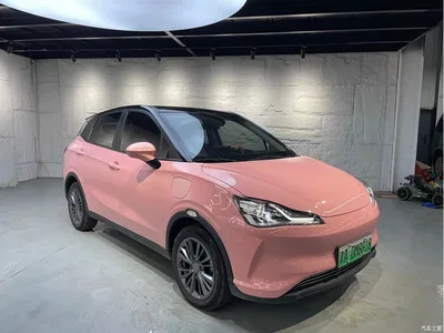 2022 Nezha Auto Nezha V Long Range Industry Custom Edition, фото 3, лот 10823793