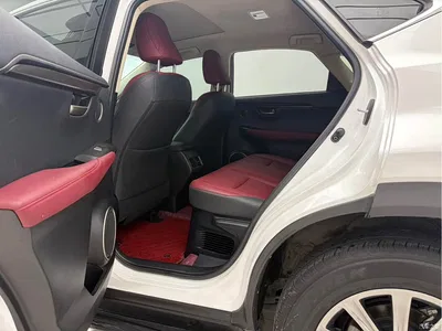 2020 Lexus NX 200 AWD F Sport China V, фото 4, лот 10319002