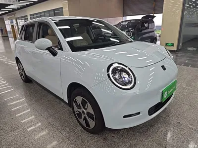 2024 JAC Yiwei Yiwei 3 Beloved Edition 330km Lite, фото 4, лот 11191545